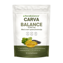 ParaBalance™