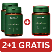 ZenVital™